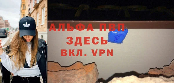 гидра Белокуриха