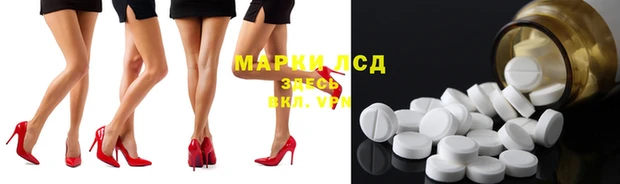 гидропоника Беломорск