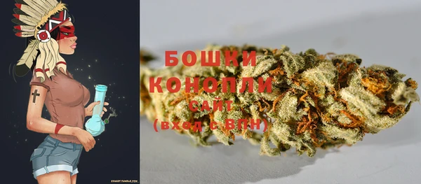 гидра Белокуриха